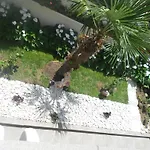 Guest house Laguna